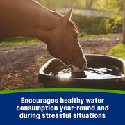 Farnam Apple Elite Horse Electrolytes Powder Supplement, 40 Day Supply | Apple Flavored,Replaces Vital Minerals, Encourages Hydration, Sugar-Free, Contains Sodium, Potassium, Calcium & Magnesium