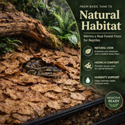 MAQIHAN 5oz Oak Leaf Litter - Dry Substrate for Reptiles Isopod & Bioactive | Whole Natural Oak Leaves for Terrarium, Forest Floor Habitat, Premium Enclosure Bedding for Snake, Frog, Gecko, Lizard