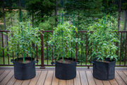Gardzen 10-Pack 10 Gallon Grow Bags Fabric Pots with Heavy Duty Handles | Excellent Drainage & Breathability, Thickened 300G Nonwoven Fabric, BPA Free, Durable for Vegetable & Flower Growing