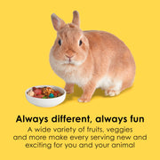 Kaytee Fiesta Rabbit Food, Supports Dental Health and Digestion | Fun at feeding time. Small animal food with bunny enrichment. Shapes, textures, fruits and veggies
