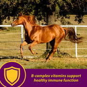 Farnam Horse Health Red Cell, Liquid Vitamin-Iron-Mineral Supplement for Horses, Helps Fill Important Nutritional Gaps in Horse's Diet, 1 Gallon, 128 Oz., 64-Day Supply