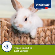 Vitakraft Crunch Sticks Rabbit Treat Wild Berry & Honey Flavor -2 Sticks | Real Dried Fruit, Sweet Honey Coating, Natural Wood Center, Encourages Foraging Chewing, 2 Count Pack