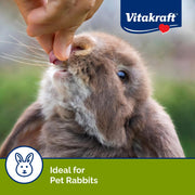 Vitakraft Drops Rabbit Treat with Wildberry Flavor 5.3 oz. | Wildberry Flavor, Wholesome Small Animal Treat, Easy to Feed, Resealable Bag, 5.3 oz Pack