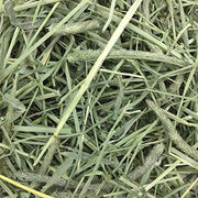 Oxbow Western Timothy Hay, Rabbit & Guinea Pig Hay, High Fiber, USA, 90 oz | Oxbow Timothy Hay, Bunny Hay For Rabbits, Guinea Pigs, Bunnies and Chinchillas, Hand-Sorted, De-Dusted, Made in USA