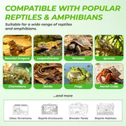 LUCKY HERP Reptile Heat Lamp Bulbs 100W, UVA Daylight Basking Bulbs 2 Pack | Fast Heating, Simulates Natural Sunlight, Ideal for Bearded Dragons Geckos Lizards Turtles Chameleons Amphibians & Chickens