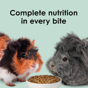 Kaytee Timothy Complete Guinea Pig Food with Timothy Hay, 9.5 Pounds | Supports digestion. Pelleted food for guinea pigs. guinea pig pellets, vitamin C, probiotics