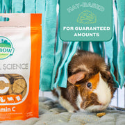 Oxbow Vitamin C Guinea Pig Supplement, High-Fiber Timothy Hay, 4.2 oz | Stabilized Vitamin C, High Fiber, Guinea Pig Vitamin C, Timothy Hay, Immune Health, Small Pet Supplies, Vet Recommended