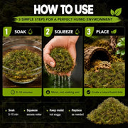 Sukh Sphagnum Moss for Reptiles - Green Terrarium Moss Substrate, 5oz | Habitat Bedding for Gecko, Snake, Turtle, Frog, Bearded Dragon, Jumping Spider, Chameleon, Enclosure & Tank Accessories Decor