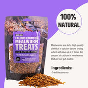 Fluker’s Grub Bag All Natural Calcium Fortified Mealworm Treats, Packed with Protein, Rich in Nutrients, A Reptile Favorite, 3 oz
