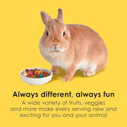 Kaytee Fiesta Rabbit Food, Supports Dental Health and Digestion | Fun at feeding time. Small animal food with bunny enrichment. Shapes, textures, fruits and veggies