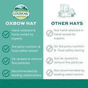 Oxbow Orchard Hay, Rabbit & Guinea Pig Hay, Hand-Sorted, De-Dusted, 40 oz | Orchard Grass Hay, Bunny Hay For Rabbits, Guinea Pigs, Bunnies and Chinchillas, Made in USA