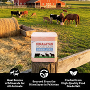 Himalayan Secrets Compressed Salt Lick for Livestock & Wildlife, 11 lb | 100% pure natural feed salt block | 84 trace minerals and elements | for horses, cattle, deer, goats and sheep and more