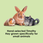 Kaytee Wafer Cut Timothy Hay for Rabbit & Guinea Pigs, 60 Ounce | Less mess. Rabbit hay peels in layers. High fiber, guinea pig food