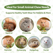 Sukh 240g Rabbit Chew Sticks - Natural Sweet Bamboo Chew for Small Animals | Sweet Bamboo Sticks, Teeth Grinding Treats & Chew Toys for Bunny, Hamster, Rat, Guinea Pig, Chinchilla, Gerbil, Pet Essential