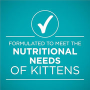Purina ONE Wet Kitten Food, Healthy Kitten, 24 Pack 3 oz Cans