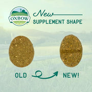 Oxbow Digestive Support Rabbit & Guinea Pig Supplement, Timothy Hay, 4.2 oz | Digestive Support, Timothy Hay, Rabbits, Guinea Pigs, Supplement, Chicory Root, Ginger Root, Chamomile, Healthy Digestion