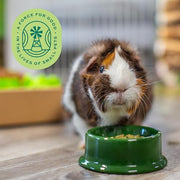 Oxbow Essentials Adult Guinea Pig Food, Timothy Hay Pellets, USA, 5 lb | Guinea Pig Pellets, Vitamin C For Guinea Pigs, Stabilized, High Fiber, Made in USA, Uniform Food, Prevents Selective Feeding