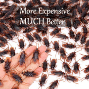 Riomeira Premium Fake Cockroaches, Realistic Lifelike Faux Roaches | Pretty Realistic Fake Roaches, Great Way to Play a Prank, Creepy Halloween Project, Tricking People, Kid Playing, 15PCS