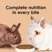 Kaytee Rabbit Food, Timothy Complete Rabbit Food Pellets, 9.5 Pounds | Bunny food for digestion support. Pelleted rabbit feed with timothy hay. High fiber, rabbit pellets, natural chewing