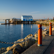 Seaside Sips & Strolls