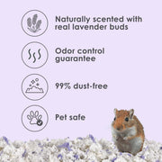 Kaytee Clean & Cozy Lavender Paper Bedding for Guinea Pigs, 49.2 Liters | Fresher habitats with rabbit bedding. Hamster bedding for small pets. 99% dust-free, absorbs 6x, lavender bedding
