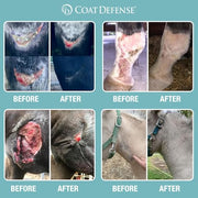 COAT DEFENSE Trouble Spot Drying Paste for Horses - Natural Equine Wound Care That Provides Safe & Effective Relief from Scratches, Sweet Itch, Summer Sores, Proud Flesh, Mud Fever, Girth Rot (10 Oz)