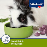 Vitakraft Drops Rabbit Treat with Wildberry Flavor 5.3 oz. | Wildberry Flavor, Wholesome Small Animal Treat, Easy to Feed, Resealable Bag, 5.3 oz Pack