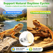 LUCKY HERP Reptile Heat Lamp Bulbs 100W, UVA Daylight Basking Bulbs 2 Pack | Fast Heating, Simulates Natural Sunlight, Ideal for Bearded Dragons Geckos Lizards Turtles Chameleons Amphibians & Chickens