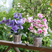 TRUEDAYS Orchid Pot, 4 Pack 5 Inch Plant Pot with Drainage | Clear Orchid Pots with Drainage Holes for Repotting, Sturdy Plastic Plant Pot for Plants, Ideal for Healthy Root Growth