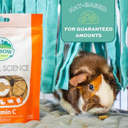 Oxbow Vitamin C Guinea Pig Supplement, High-Fiber Timothy Hay, 4.2 oz | Stabilized Vitamin C, High Fiber, Guinea Pig Vitamin C, Timothy Hay, Immune Health, Small Pet Supplies, Vet Recommended