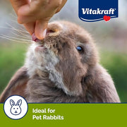 Vitakraft Drops Rabbit Treat with Wildberry Flavor 5.3 oz. | Wildberry Flavor, Wholesome Small Animal Treat, Easy to Feed, Resealable Bag, 5.3 oz Pack
