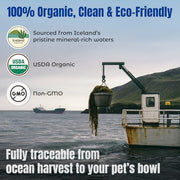 Life Line Organic Ocean Kelp Supplement for Dogs, Cats, Horses & Livestock | Natural Source of Iodine for Skin, Shiny Coat & Immune Support | Helps Reduce Tartar, Shedding & Aids Digestion – 1.5 lb