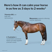 Formula 707 Calming Supplement for Horses, 5 lb, 40 Servings – Focus Aid