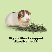 Kaytee Timothy Hay, High Fiber for Rabbits, Guinea Pigs, 12 Pounds | Supports digestive health. Hand-selected rabbit hay. Guinea pig hay, chinchilla hay, pesticide free
