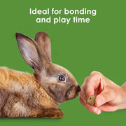 Kaytee Timothy Biscuits, Timothy Hay Bunny Treats for Rabbits, 4 Oz | Digestive support. Timothy hay guinea pig treats. Real carrots, natural chewing, guinea pig snacks