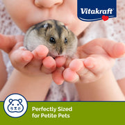Vitakraft Mini Drops Dwarf Hamster/Rat/Mouse Treat Cherry-Banana 2.5 oz | Sweet Cherry-Banana Flavor, Wholesome Small Animal Treat, Easy to Feed, Resealable Bag, 2.5 oz Pack