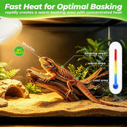 LUCKY HERP Reptile Heat Lamp Bulbs 100W, UVA Daylight Basking Bulbs 2 Pack | Fast Heating, Simulates Natural Sunlight, Ideal for Bearded Dragons Geckos Lizards Turtles Chameleons Amphibians & Chickens
