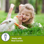 Vitakraft Slims Carrot Small Animal Treats – Light, Healthy Food Bites - Crispy Carrot Treats for Rabbits, Guinea Pigs, Hamsters & Chinchillas (10oz)