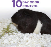 Carefresh White Natural Paper Small Pet Bedding, Odor Control 50L | 2X more absorbent, 99% dust free, odor control, Biodegradable, compostable, For hamsters, rabbits and guinea pigs