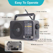 Portable AM/FM Transistor Radio with Loud Speaker, Battery or USB Powered | Compact Emergency Radio for Indoor, Outdoor, Travel & Storms (Model BJL-671)