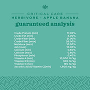 Oxbow Critical Care Herbivore, Rabbit & Guinea Pig, Apple Banana, 141 g | Herbivore Emergency Food, Recovery, Rabbit Food, Recovery Diet, Apple Banana, Syringe, Tube Feeding, Complete Nutrition