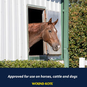 Farnam Wound-Kote Blue Lotion Spray Wound Care for Horses 7 Oz. | Effective against bacterial infections common in skin lesions, surface wounds or minor cuts of domestic animals