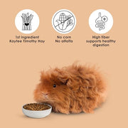 Kaytee Timothy Complete Guinea Pig Food with Timothy Hay, 9.5 Pounds | Supports digestion. Pelleted food for guinea pigs. guinea pig pellets, vitamin C, probiotics