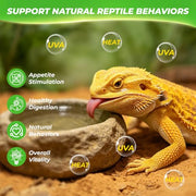 LUCKY HERP Reptile Heat Lamp Bulbs 100W, UVA Daylight Basking Bulbs 2 Pack | Fast Heating, Simulates Natural Sunlight, Ideal for Bearded Dragons Geckos Lizards Turtles Chameleons Amphibians & Chickens
