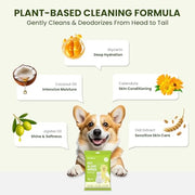 PawSono 36 Count Pet Wipes for Dogs & Cats, Glove Design, Coconut Scent | Natural Hypoallergenic Formula, Quick Daily Grooming for Paws, Butt & Body, No-Rinse Cleaning Between Baths & Travel