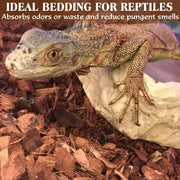 ZeeDix 10LBS Coconut Husk Chip Substrate for Reptiles, 72QT Coco Husk Chips | Organic Coco Coir Chips for Snake Habitat, Reptile Bedding for Ball Python, Tortoises, Geckos, Lizards Terrarium Tanks