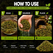 Sukh Sphagnum Moss for Reptiles - Green Terrarium Moss Substrate, 5oz | Habitat Bedding for Gecko, Snake, Turtle, Frog, Bearded Dragon, Jumping Spider, Chameleon, Enclosure & Tank Accessories Decor