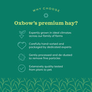 Oxbow Western Timothy Hay, Rabbit & Guinea Pig Hay, High Fiber, USA, 90 oz | Oxbow Timothy Hay, Bunny Hay For Rabbits, Guinea Pigs, Bunnies and Chinchillas, Hand-Sorted, De-Dusted, Made in USA