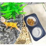 Lizard Crested Gecko Food Water Feeding Cups, 100 pcs, 0.5oz