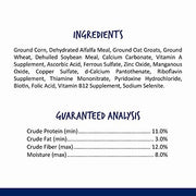 Vitakraft Nibble Rings Small Animal Treat 10.6 oz. | Crispy Crunchy Texture, Fruit & Vegetable Flavor, Foraging Snack, Wholesome Small Animal Treat, 10.6 oz Pack
